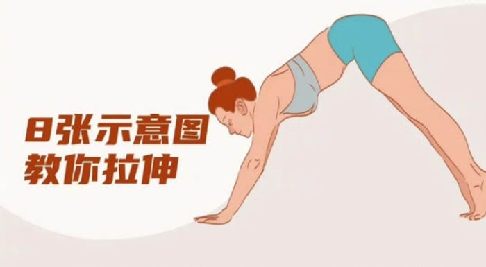 以柔养气，以伸通神｜静态拉伸中的的精气神养生智